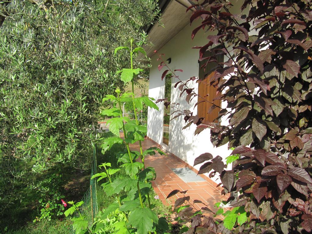 B&B La Poiana Canavaccio di Urbino Ngoại thất bức ảnh